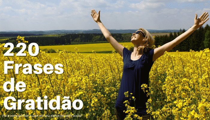220 Frases de Gratidão